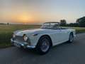 Triumph TR4 TR4A IRS Weiß - thumbnail 5