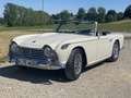 Triumph TR4 TR4A IRS Weiß - thumbnail 8