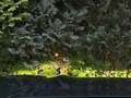 BMW X3 xDrive 30 d M Sport Blau - thumbnail 28