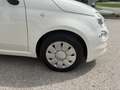 Fiat 500 Fiat 500 Weiß - thumbnail 4