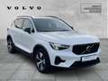 Volvo XC40 Plus Dark Plug-In Hybrid 2WD StandHZG Navi Digital Weiß - thumbnail 5