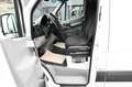 Mercedes-Benz Sprinter 313 CDI Kasten L1 H2 Automatik + Kamera Weiß - thumbnail 10