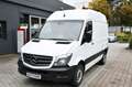 Mercedes-Benz Sprinter 313 CDI Kasten L1 H2 Automatik + Kamera Weiß - thumbnail 2