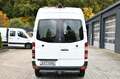 Mercedes-Benz Sprinter 313 CDI Kasten L1 H2 Automatik + Kamera Weiß - thumbnail 7