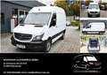 Mercedes-Benz Sprinter 313 CDI Kasten L1 H2 Automatik + Kamera Weiß - thumbnail 1