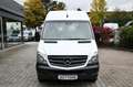 Mercedes-Benz Sprinter 313 CDI Kasten L1 H2 Automatik + Kamera Weiß - thumbnail 3