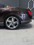 Bentley Continental Continental GTC Speed Braun - thumbnail 28