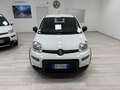 Fiat Panda 1.0 firefly hybrid Bianco - thumbnail 3