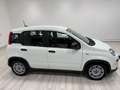 Fiat Panda 1.0 firefly hybrid Bianco - thumbnail 5