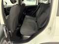 Fiat Panda 1.0 firefly hybrid Bianco - thumbnail 14
