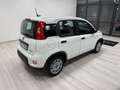 Fiat Panda 1.0 firefly hybrid Bianco - thumbnail 6