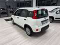 Fiat Panda 1.0 firefly hybrid Bianco - thumbnail 9