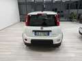 Fiat Panda 1.0 firefly hybrid Bianco - thumbnail 7