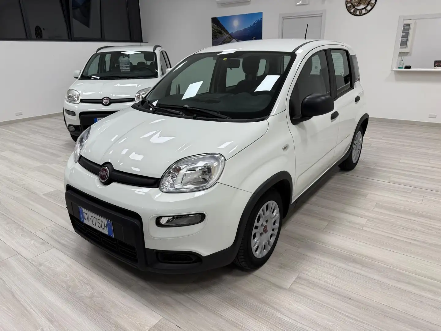 Fiat Panda 1.0 firefly hybrid Bianco - 2