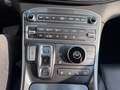 Hyundai SANTA FE Fe FE Gris - thumbnail 14