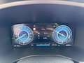 Hyundai SANTA FE Fe FE Gris - thumbnail 12