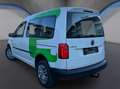 Volkswagen Caddy Kombi Trendline 2,0 TDI 4MOTION*AHK*Standheiz.* Weiß - thumbnail 4