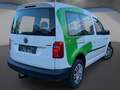 Volkswagen Caddy Kombi Trendline 2,0 TDI 4MOTION*AHK*Standheiz.* Weiß - thumbnail 8