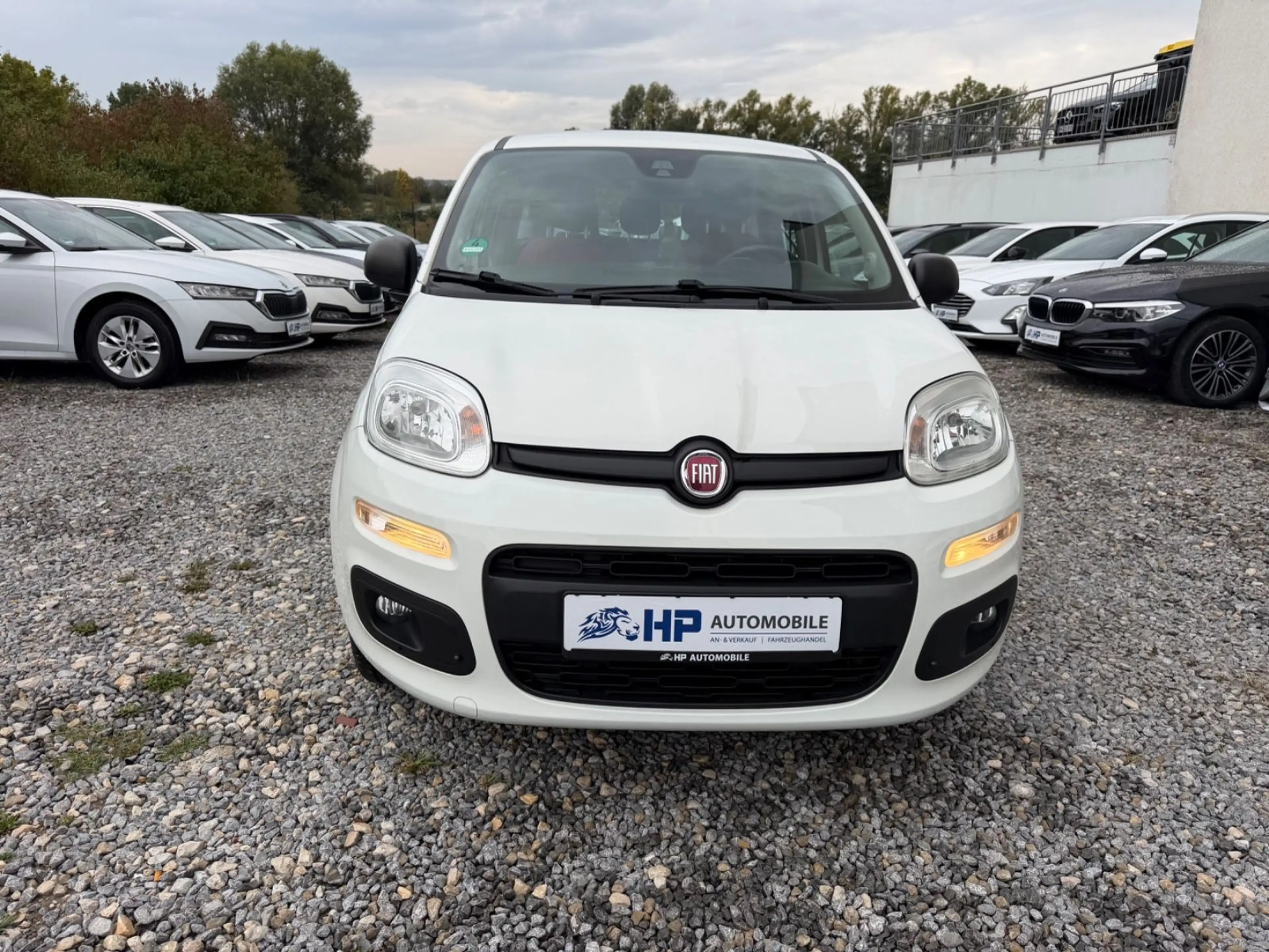 Fiat Panda 1.2 Easy 4-trg./1.Hand/Klima/PDC — photo 2