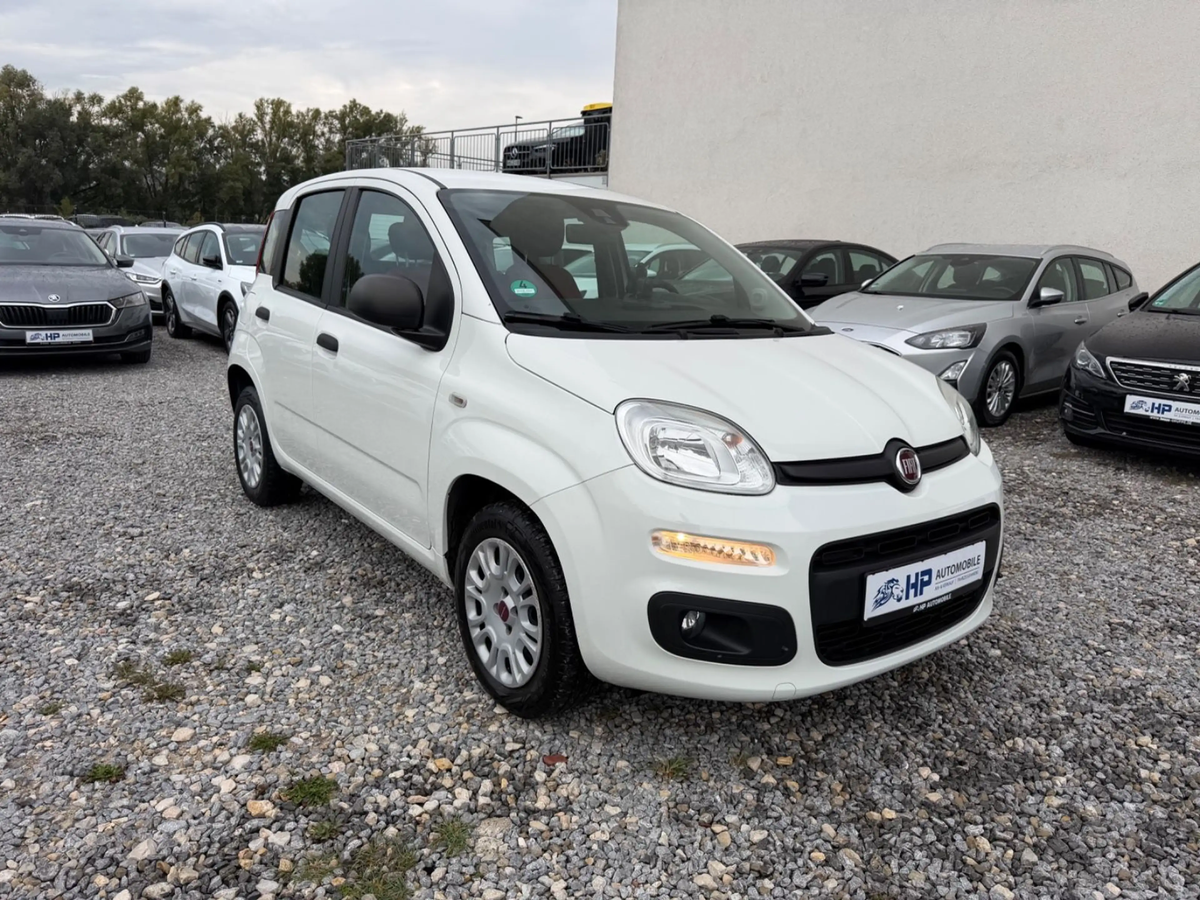 Fiat Panda 1.2 Easy 4-trg./1.Hand/Klima/PDC — photo 3