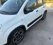 Fiat Panda Panda 1.0 firefly hybrid Sport s Bianco - thumbnail 4