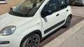 Fiat Panda Panda 1.0 firefly hybrid Sport s Bianco - thumbnail 5