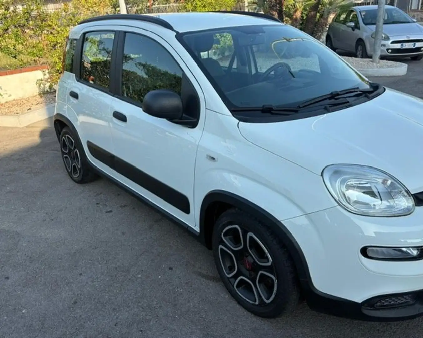 Fiat Panda Panda 1.0 firefly hybrid Sport s Bianco - 2