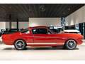 Ford Mustang 1965 Ford Shelby GT350 Frame-Off Restomod Tribute Rot - thumbnail 3