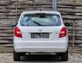 Skoda Fabia Ambition Top* Kredit* Neues Pickerl*Klima*Gepflegt Weiß - thumbnail 6