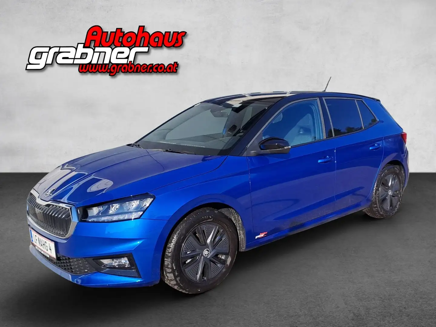 Skoda Fabia Selection Bleu - 1