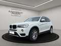 BMW X3 xDrive 20d Aut-Leder-Navi-BiXenon-Kamera-e.Heckkla Weiß - thumbnail 1