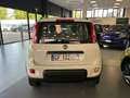 Fiat Panda 0.9 t.air t. natural power City Life 70cv Weiß - thumbnail 5