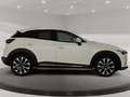 Mazda CX-3 * PRIME-LINE * HEAD-UP * KAMERA * 1. BESITZ * SZH Weiß - thumbnail 6