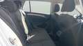 Volkswagen Golf 1.0 TSI Business Edition 81kW Weiß - thumbnail 12