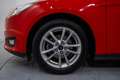 Ford Focus 1.6 TI-VCT Trend Powershift Rouge - thumbnail 11