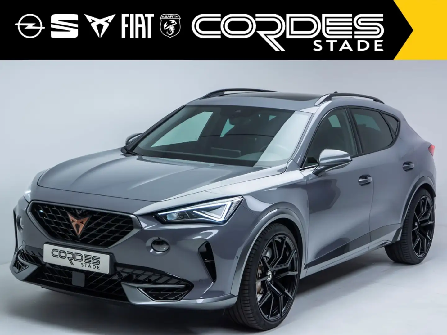 CUPRA Formentor VZ 4Drive 2.0 TSI Matrix Kamera PDC Panorama (45) Gris - 2