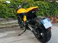Ducati Scrambler Full Throttle - 5000 KM Giallo - thumbnail 4