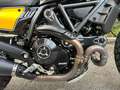 Ducati Scrambler Full Throttle - 5000 KM Giallo - thumbnail 15