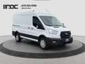 Ford Transit L2H2 2.0 TDCi Trend 350 AWD Weiß - thumbnail 7