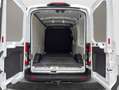 Ford Transit L2H2 2.0 TDCi Trend 350 AWD Weiß - thumbnail 17