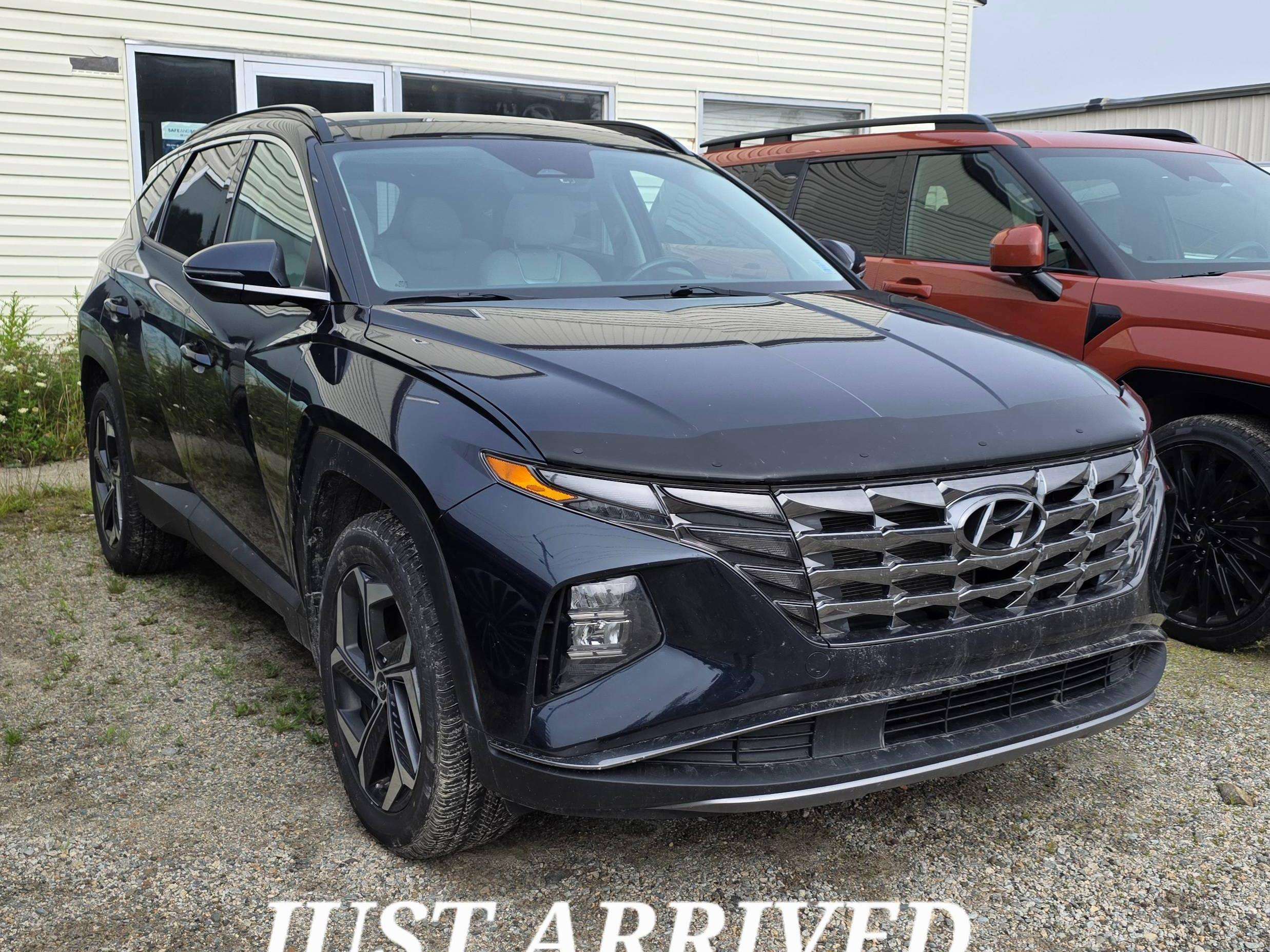 Blue 2023 Hyundai Tucson Hybrid SUV / Crossover Automatic