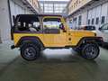 Jeep Wrangler Wrangler Hard Top 4.0 Sport c/CL Jaune - thumbnail 7