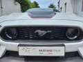 Ford Mustang Fastback 5.0 V8 TiVCT 460cv Mach1 - MAN.- F. White Blanc - thumbnail 4