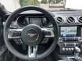Ford Mustang Fastback 5.0 V8 TiVCT 460cv Mach1 - MAN.- F. White Bianco - thumbnail 11