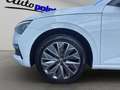 Skoda Scala 1.0 TSI Tour MATRIX NAVI ACC Blanc - thumbnail 17