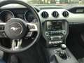 Ford Mustang GT Sportpaket Navi Leder Soundsystem Klimasitze Xe Rouge - thumbnail 13