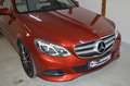 Mercedes-Benz E 350 CDI **Avantgarde**weißes Leder** Rot - thumbnail 2