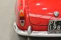 Alfa Romeo Giulietta SPIDER ISCRITTA REGISTRO ASI Rouge - thumbnail 13