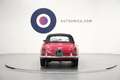 Alfa Romeo Giulietta SPIDER ASI Rot - thumbnail 16