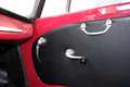 Alfa Romeo Giulietta SPIDER ASI Rot - thumbnail 25